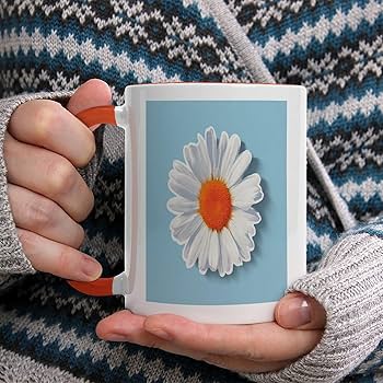 Amazon.com | zxxpensy White Daisy Flower on Light Blue Inner